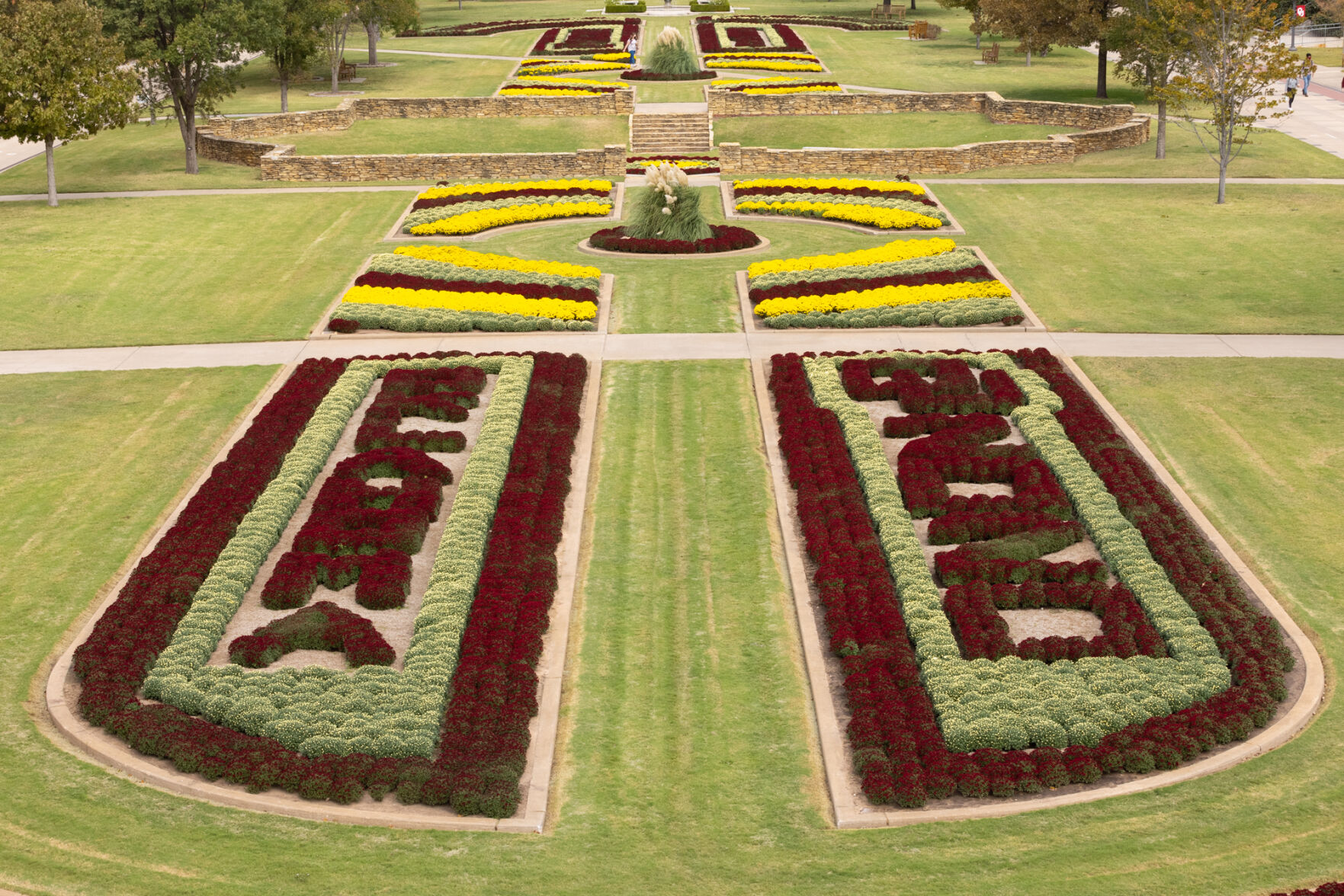 South Oval Mums